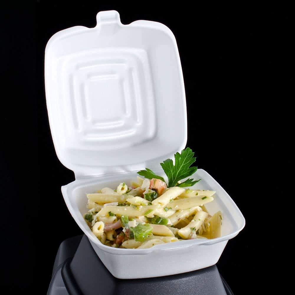 Foam Containers, Disposable Clamshell Styrafoam Containers for Food - Hinged Lid, Multi Pack, Restaurant to Go Trays, Lunch Container with Recessed Lid for Stable Stack